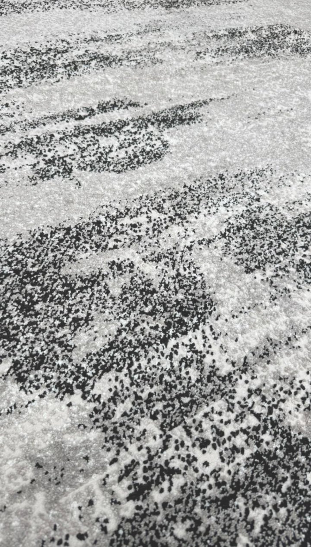 CHARCOAL WASH - Imagen 3